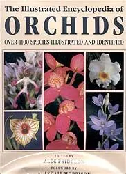  Orchids: An Illustrated Encyclopedia -  Bir Bitki Krallığı Gezisi İçin Görsel Bir Şölen